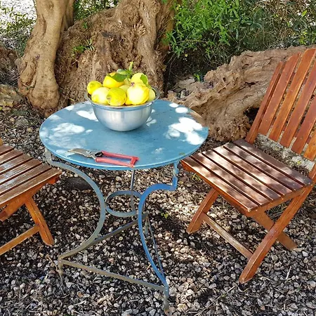 Selene, Mountain Views, No Stairs, 2 Km From Vila Chania (Crete)